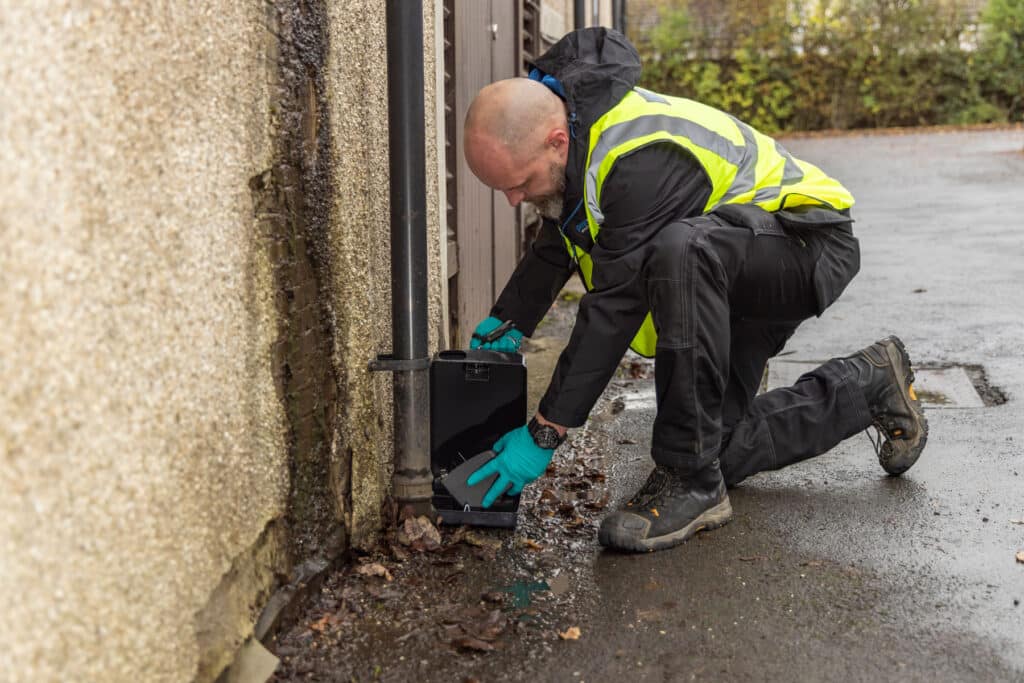 Pest-Control-Manchester