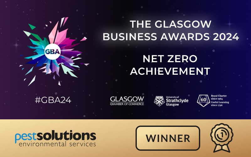 GBA24 – Winners – Blog Image