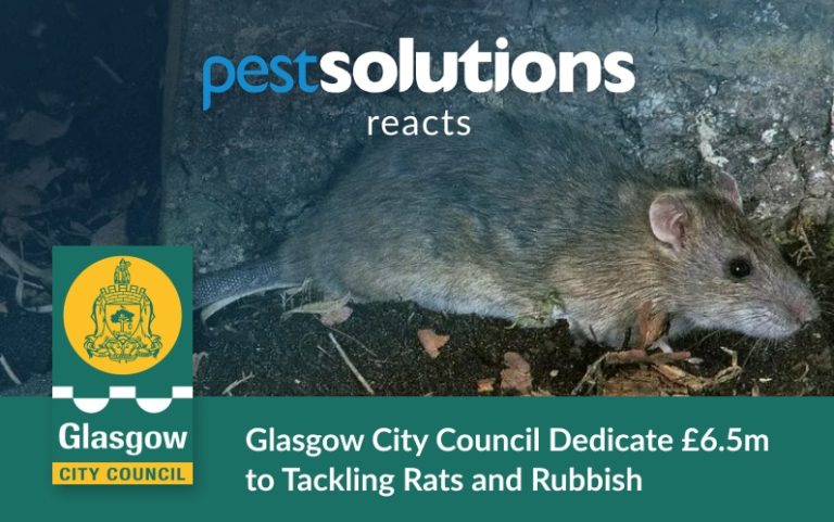 Glasgow City Council Dedicate £6.5m to Tackling Rats and Rubbish - Blog Featured Image