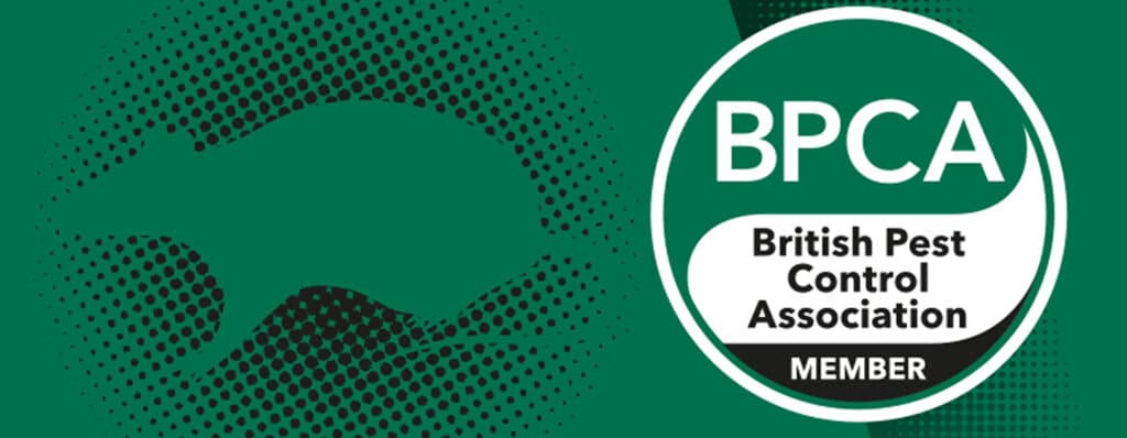 Pest Solutions - Homepage BPCA Image - 1440px