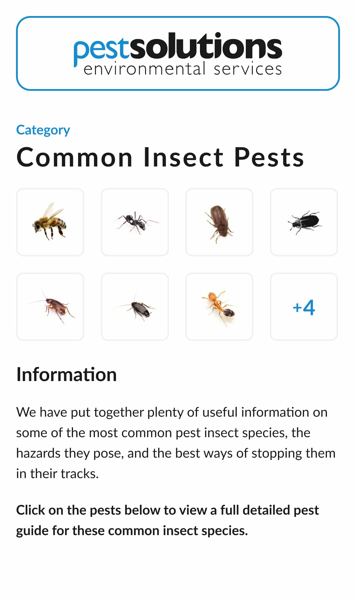 Common Insect Pests