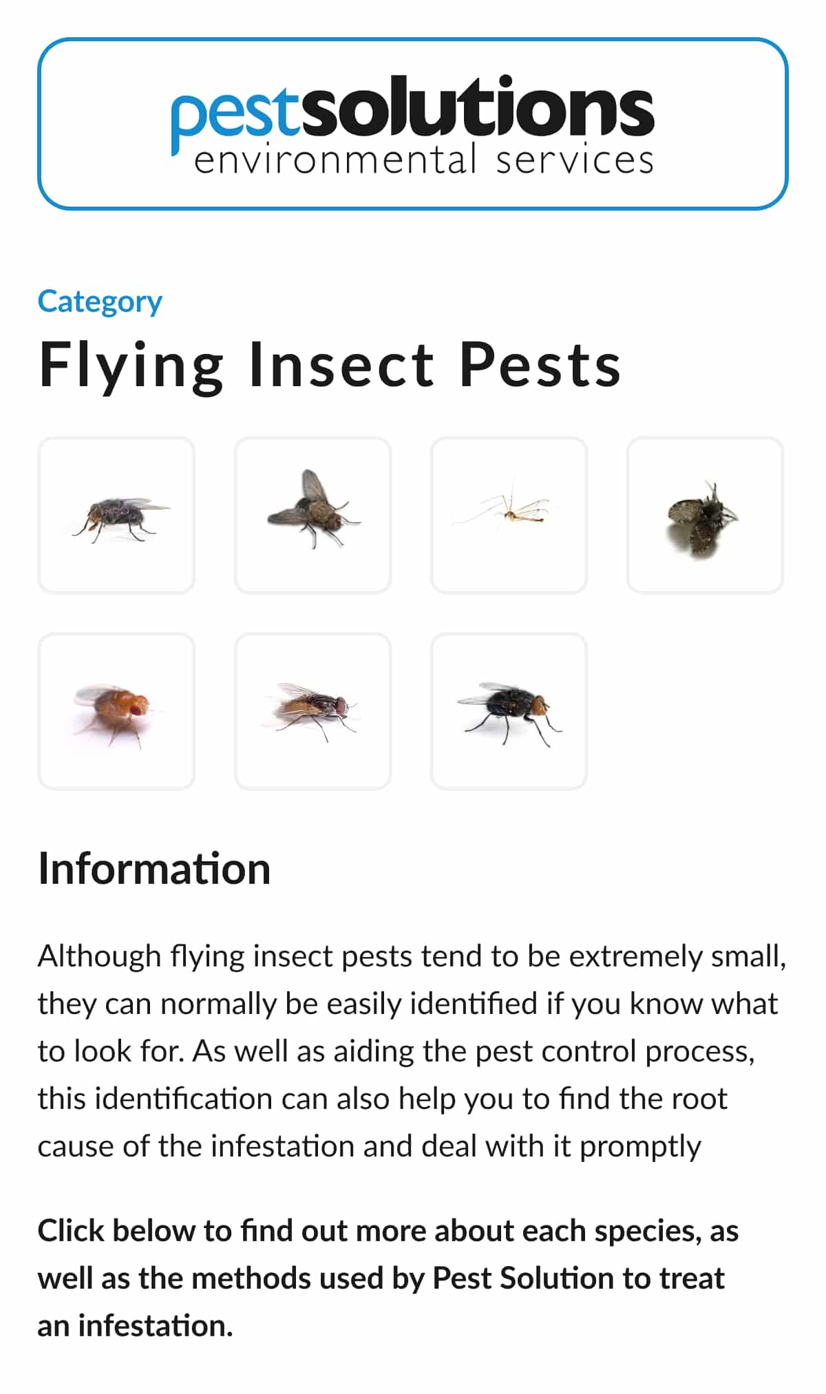 Flying Insect Pests