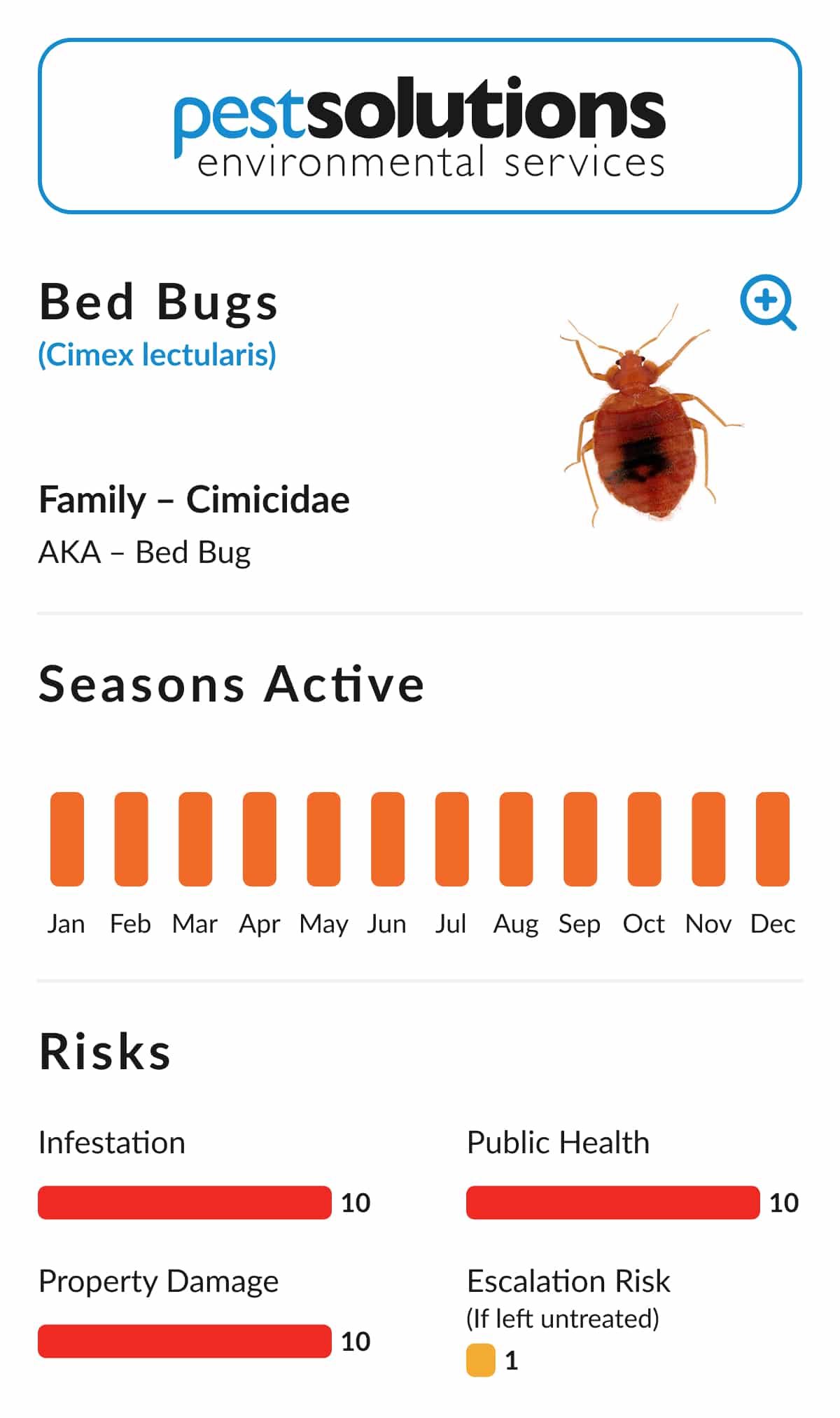 Pest=Bed Bugs