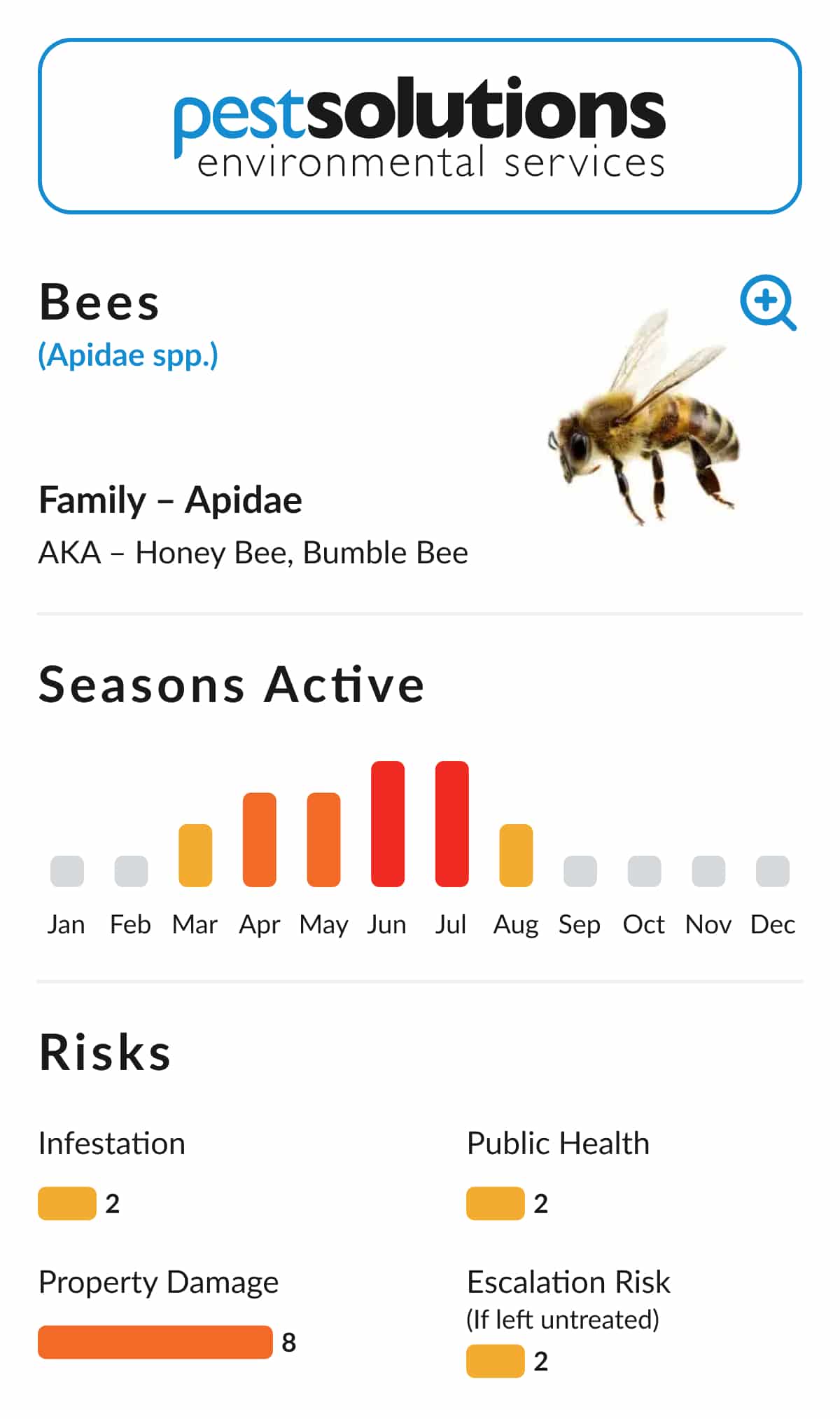 Pest=Bees