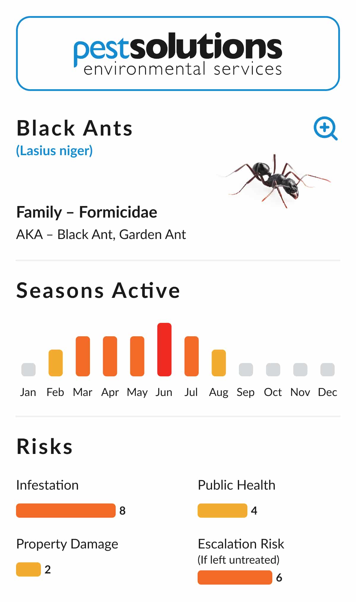 Pest=Black Ants