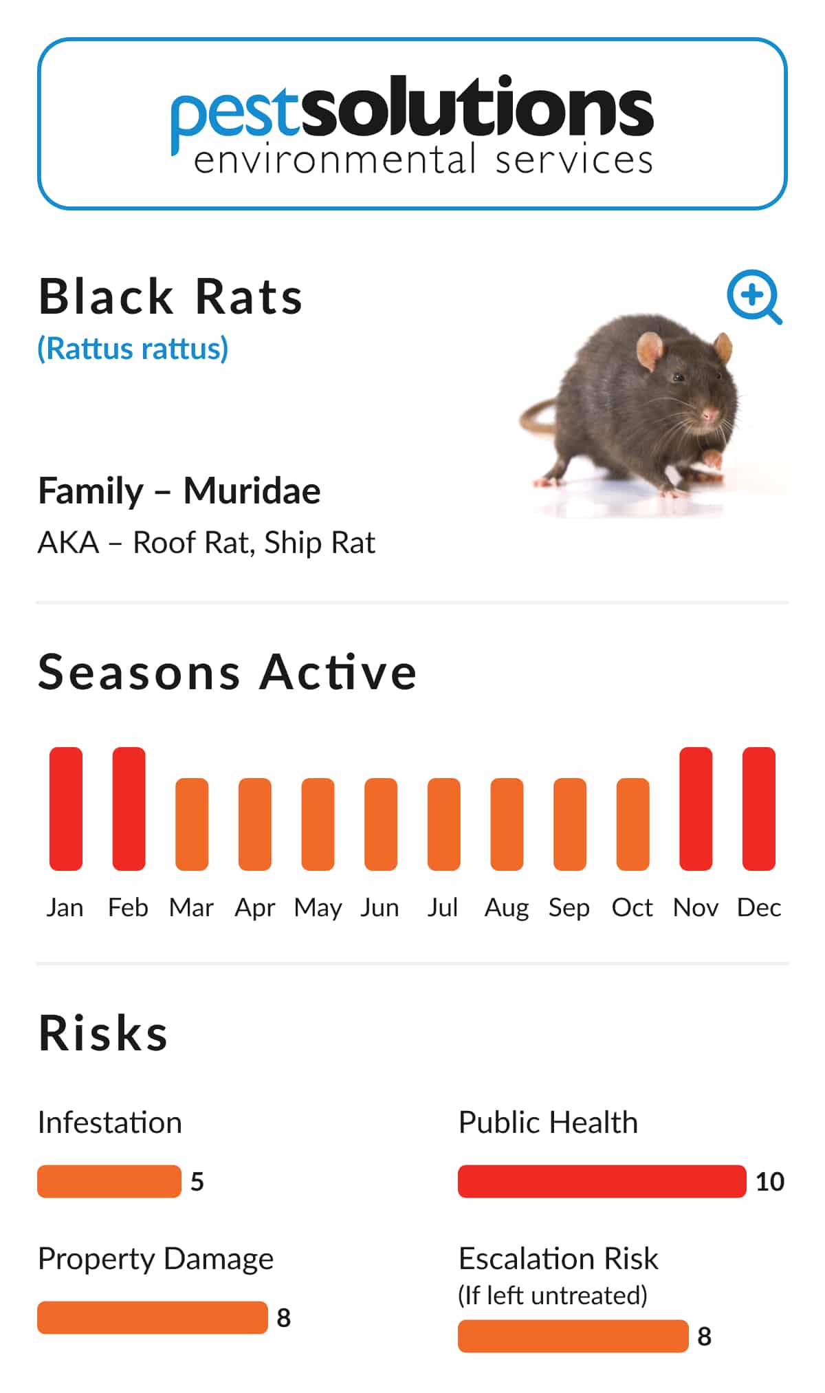 Pest=Black Rats