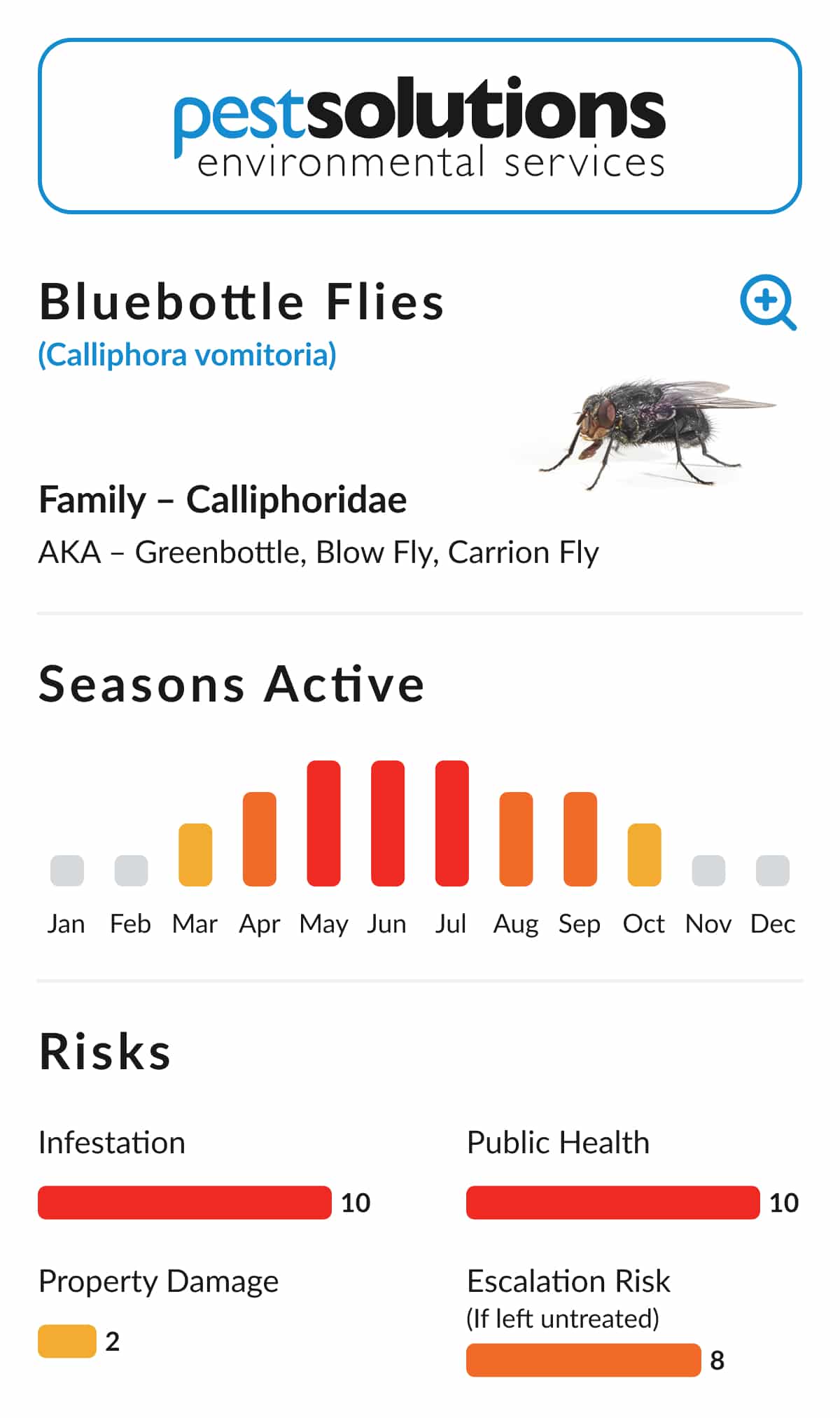 Pest=Bluebottle Flies