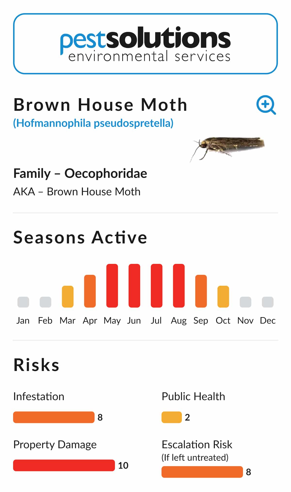 Pest=Brown House Moth