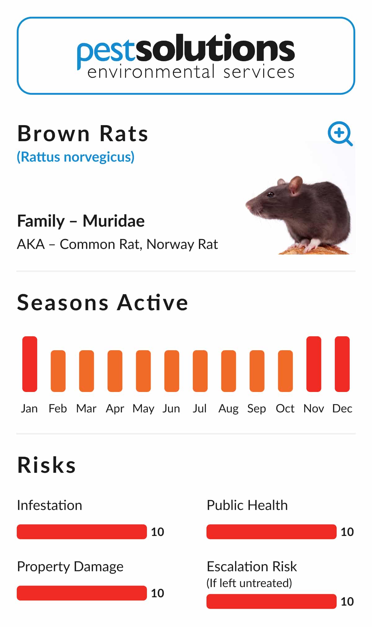 Pest=Brown Rats