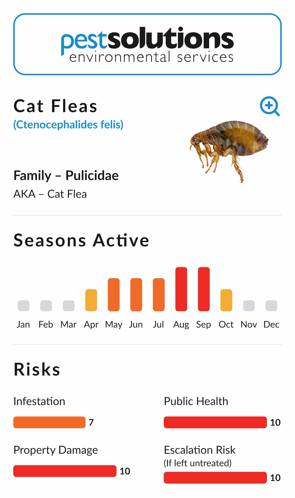 Pest=Cat Fleas