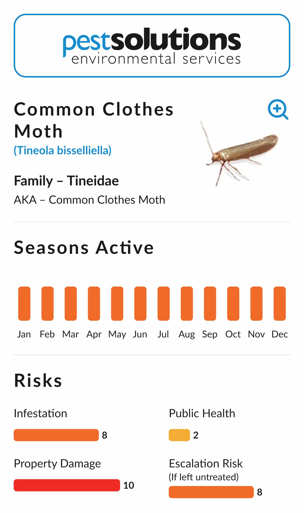Pest=Common Clothes Moth