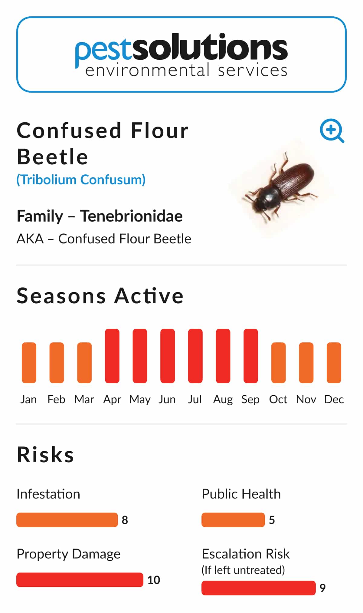 Pest=Confused Flour Beetle