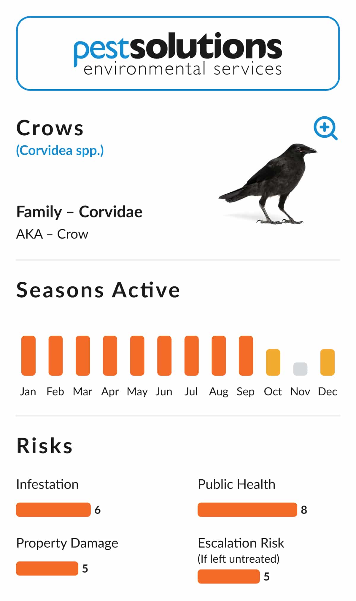 Pest=Crows