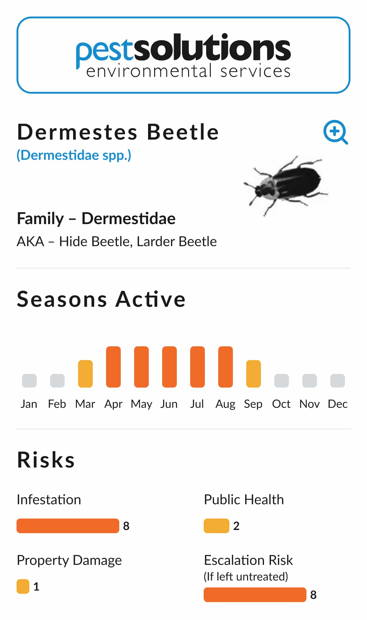Pest=Dermestes Beetle