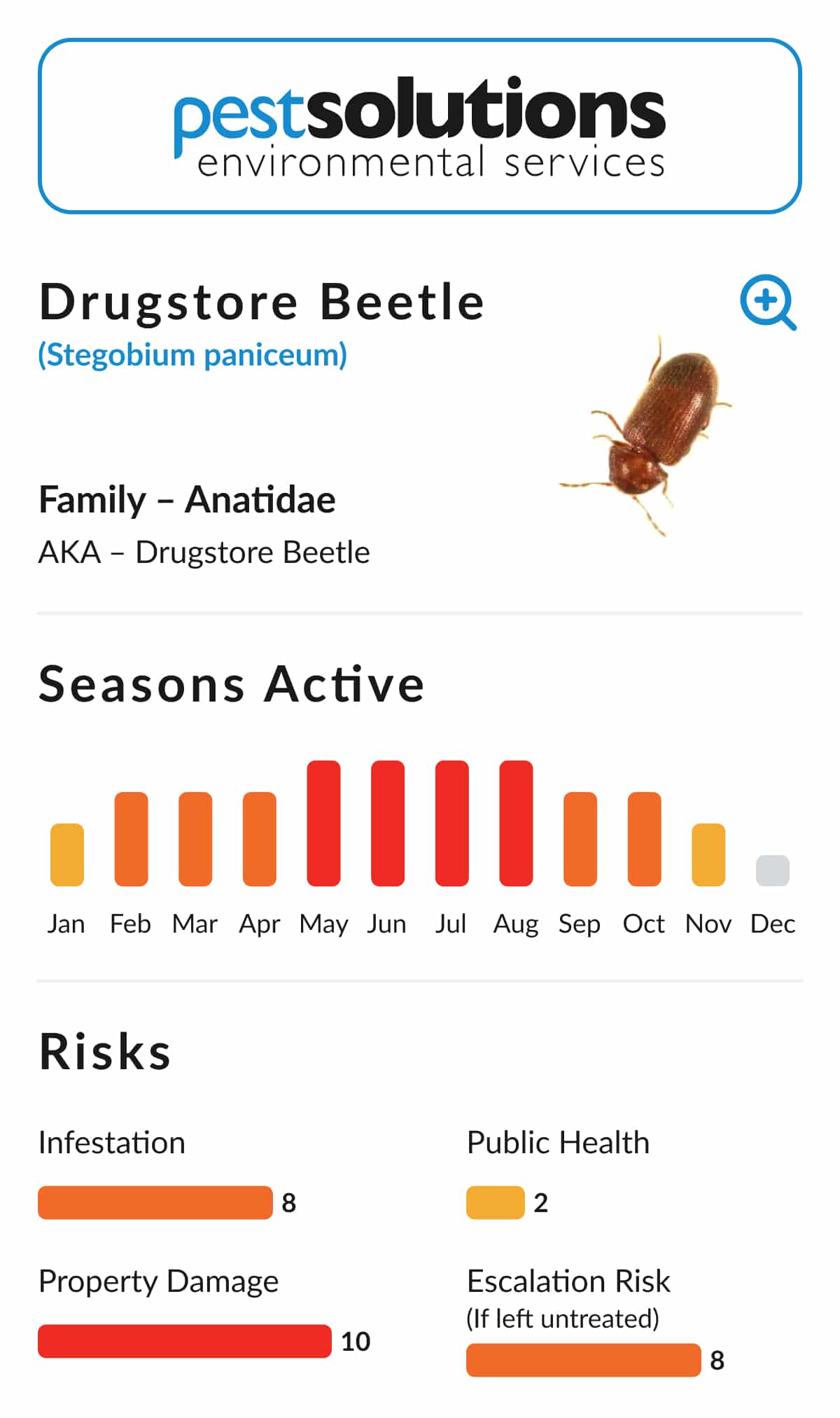 Pest=Drugstore Beetle