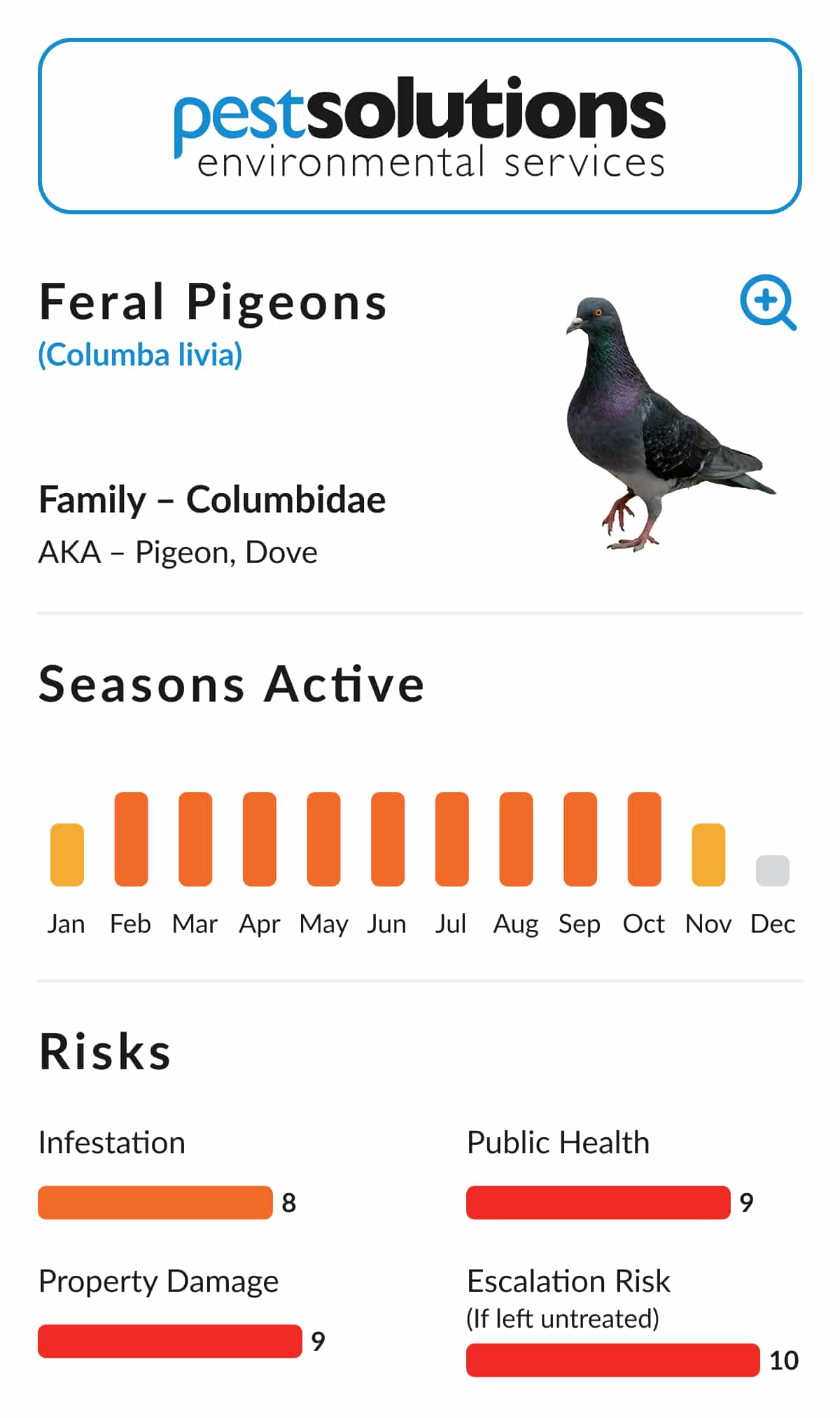 Pest=Feral Pigeons