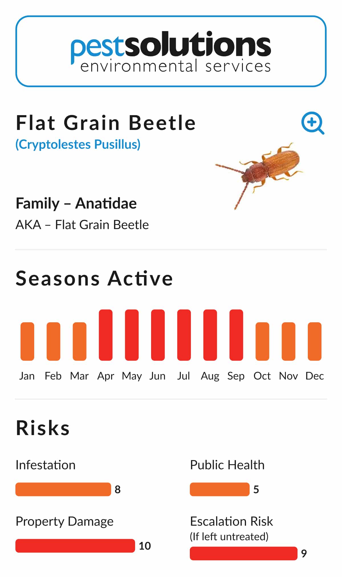Pest=Flat Grain Beetle