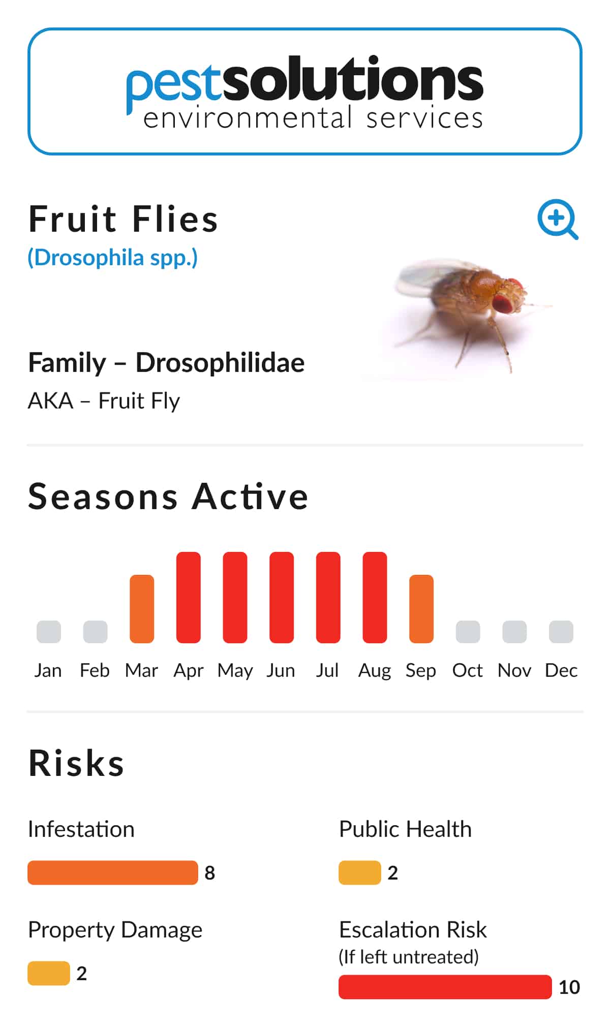 Pest=Fruit Flies
