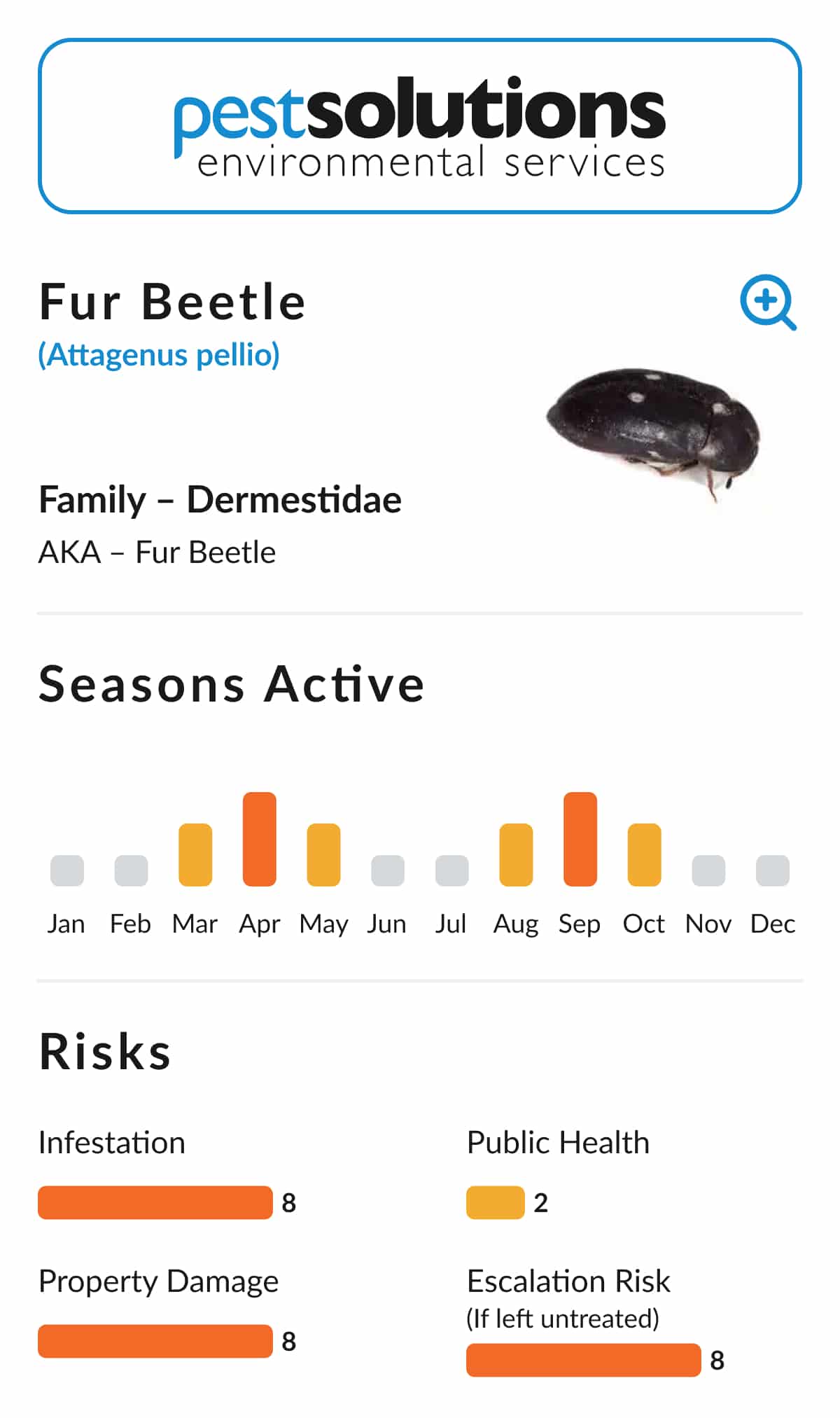 Pest=Fur Beetle