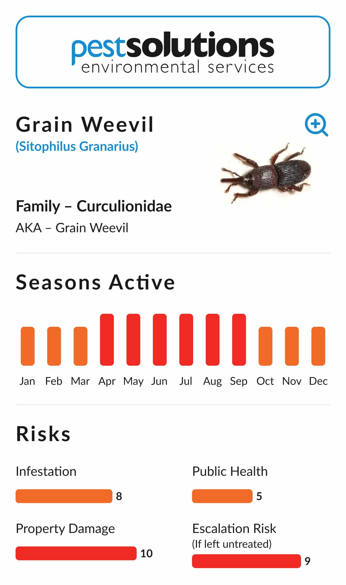 Pest=Grain Weevil