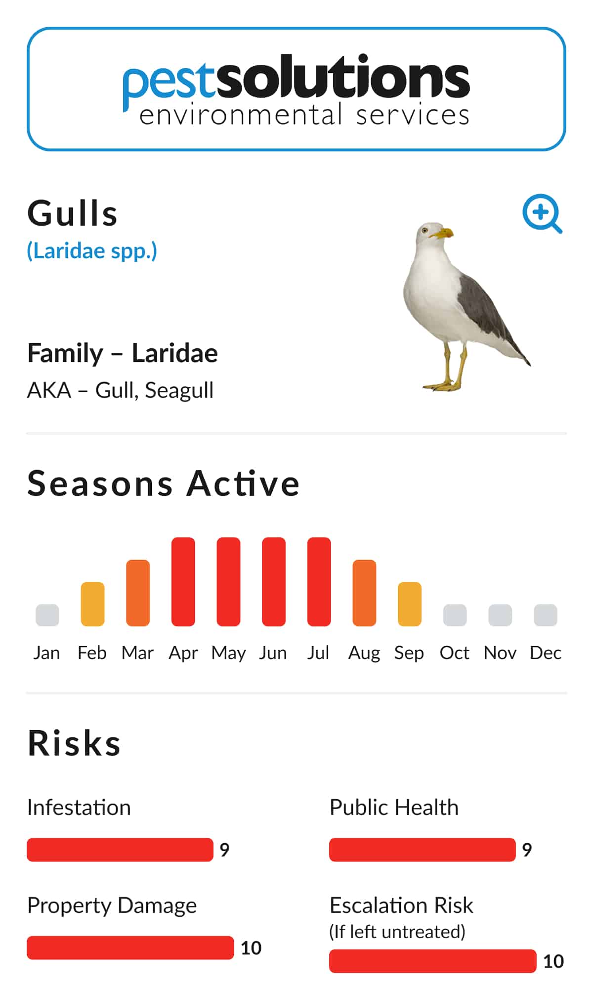 Pest=Gulls 2