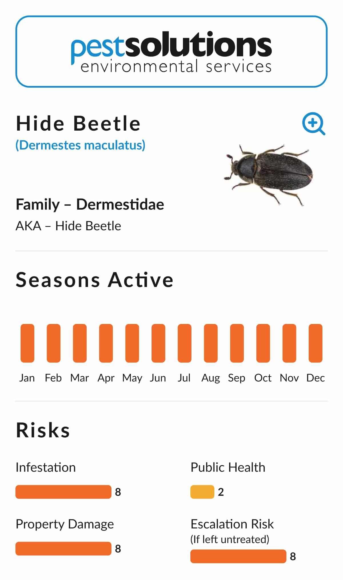 Pest=Hide Beetle TEMP