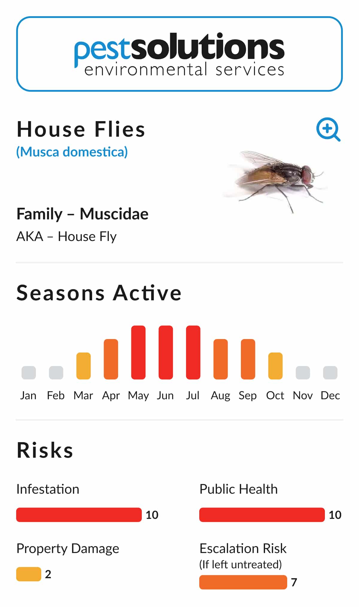 Pest=House Flies