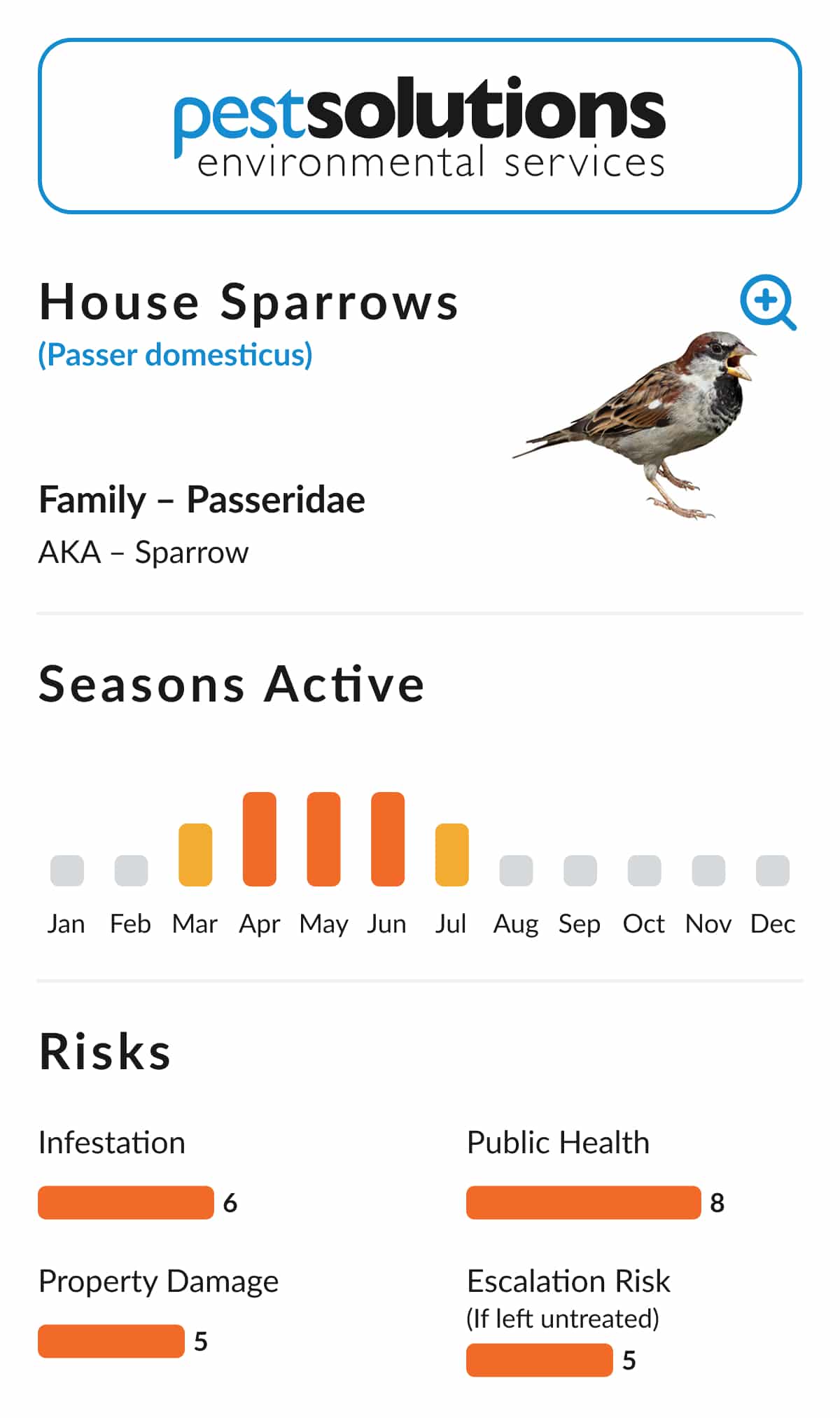 Pest=House Sparrows