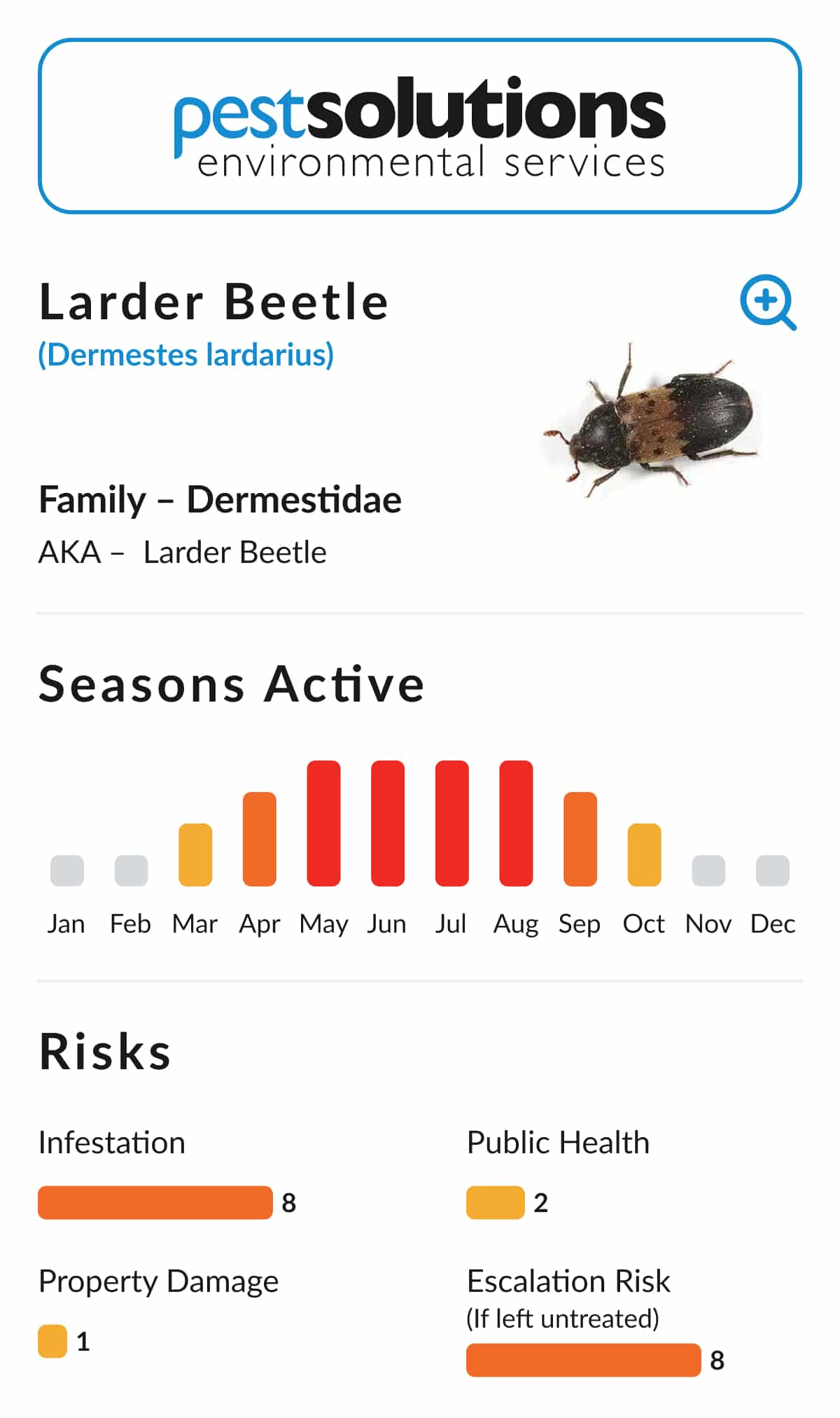 Pest=Larder Beetle