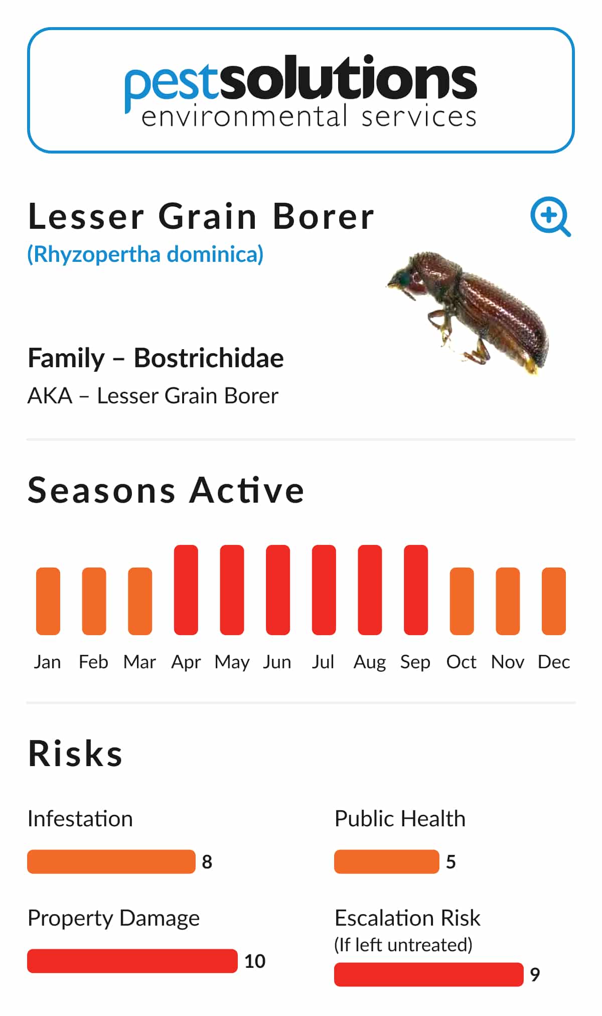 Pest=Lesser Grain Borer