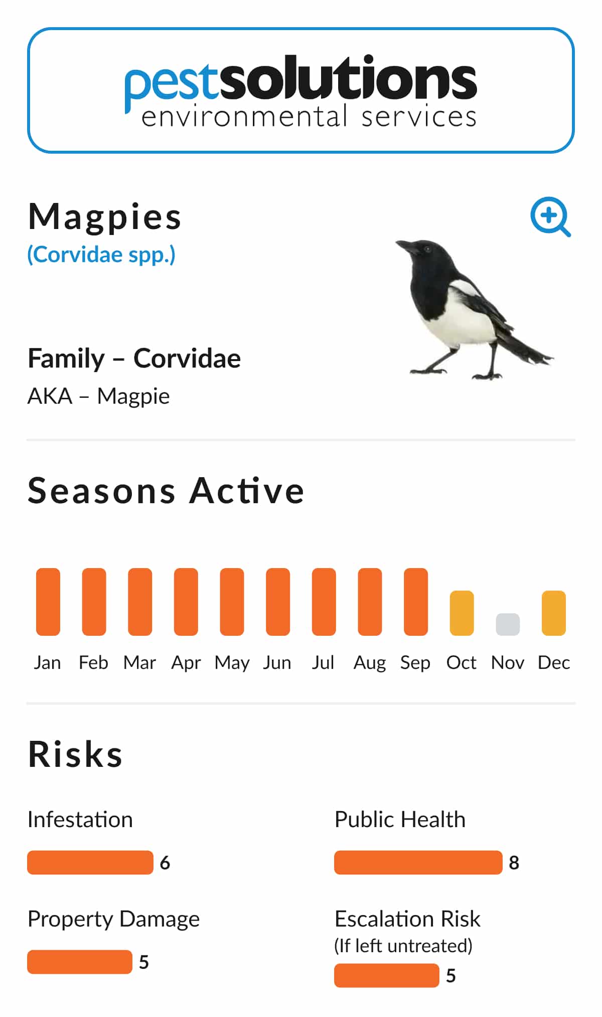 Pest=Magpies