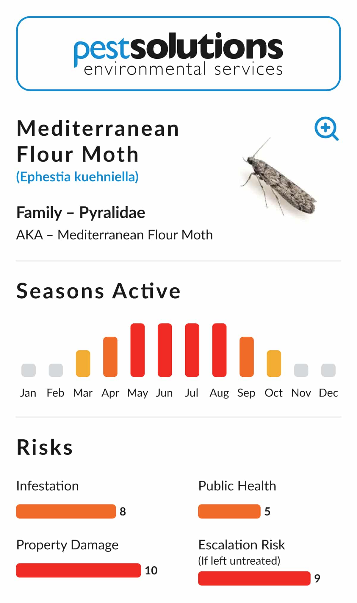 Pest=Mediterranean Flour Moth