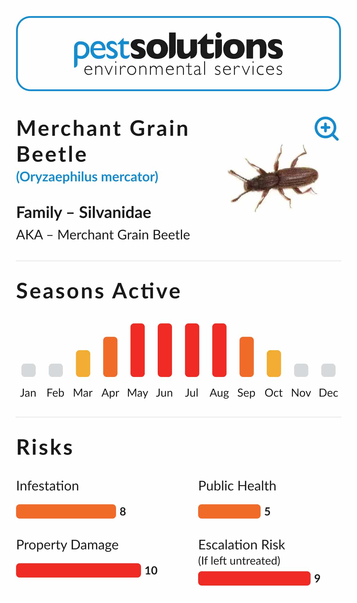 Pest=Merchant Grain Beetle