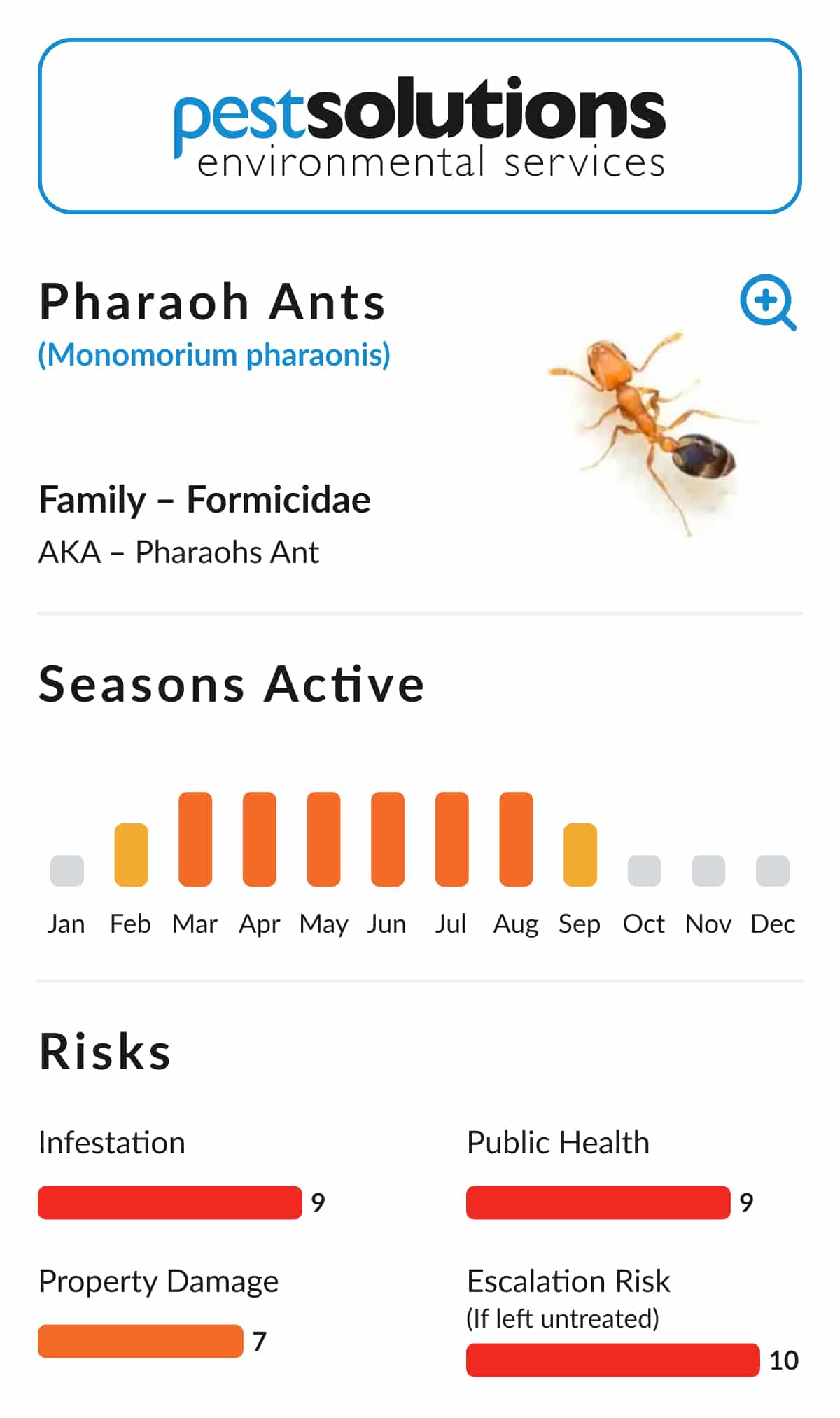 Pest=Pharaos Ants