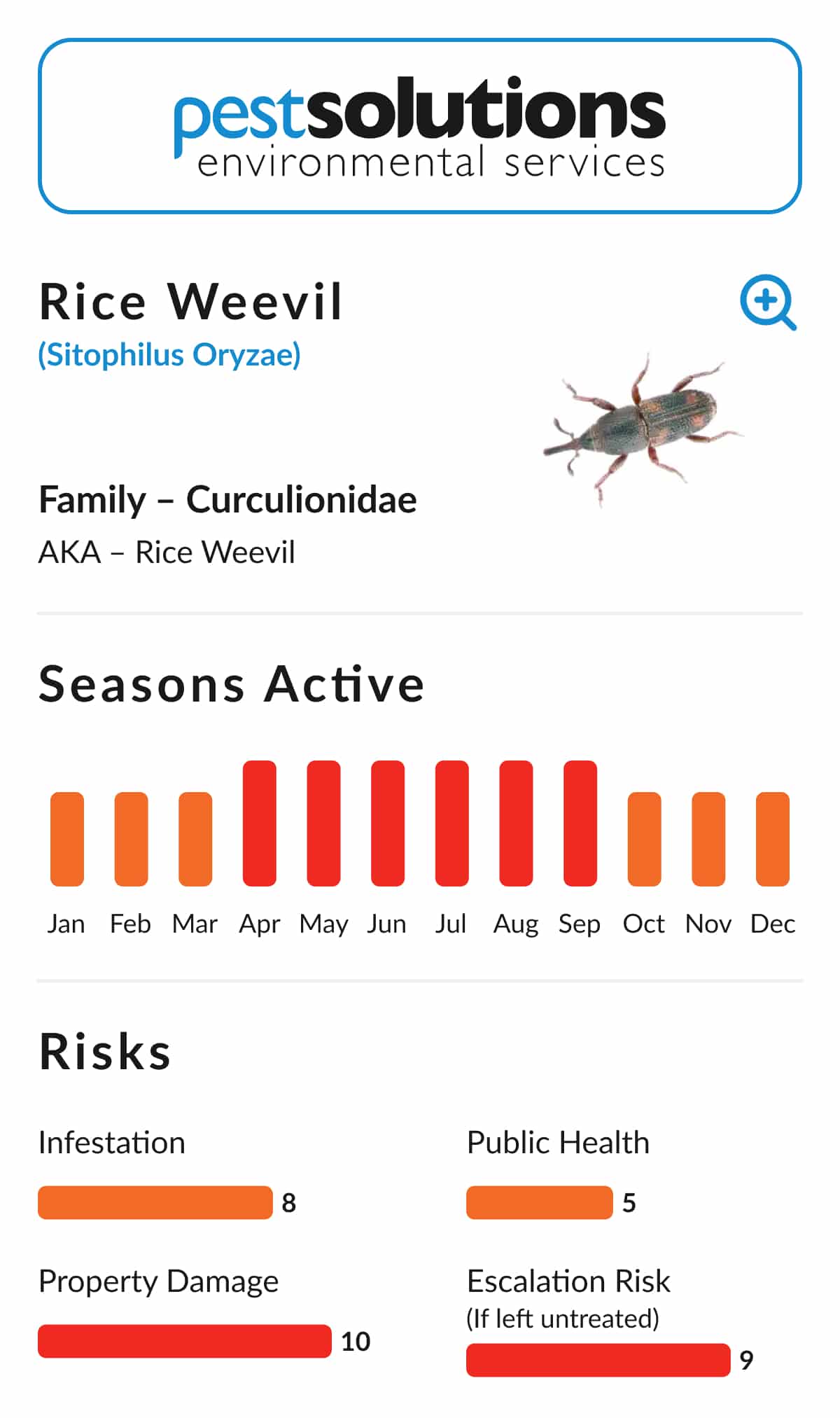 Pest=Rice Weevil