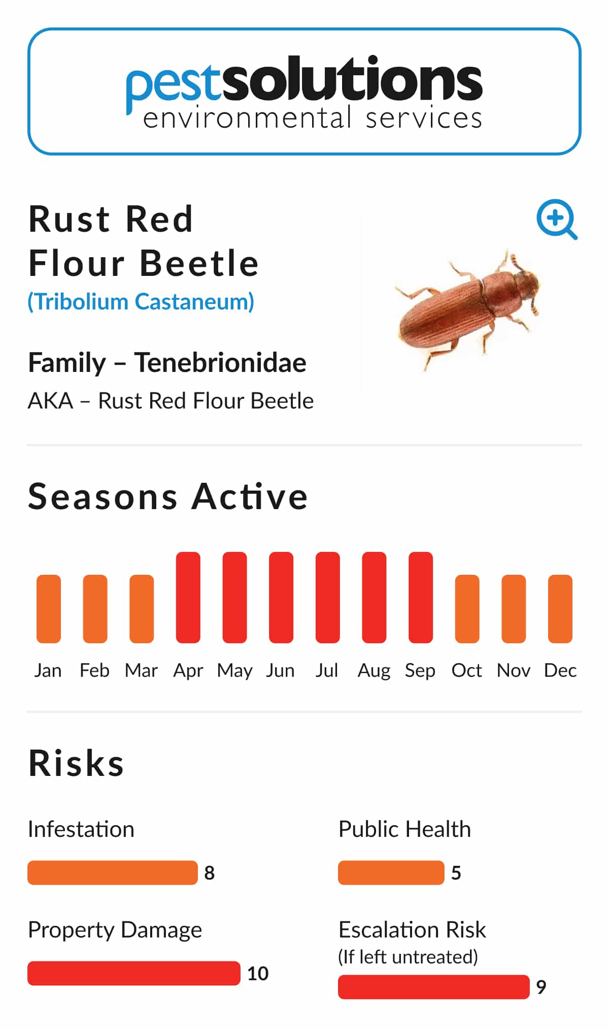 Pest=Rust Red Flour Beetle
