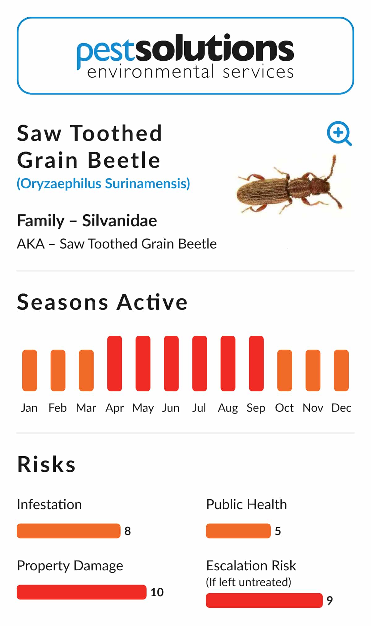 Pest=Saw Toothed Grain Beetle