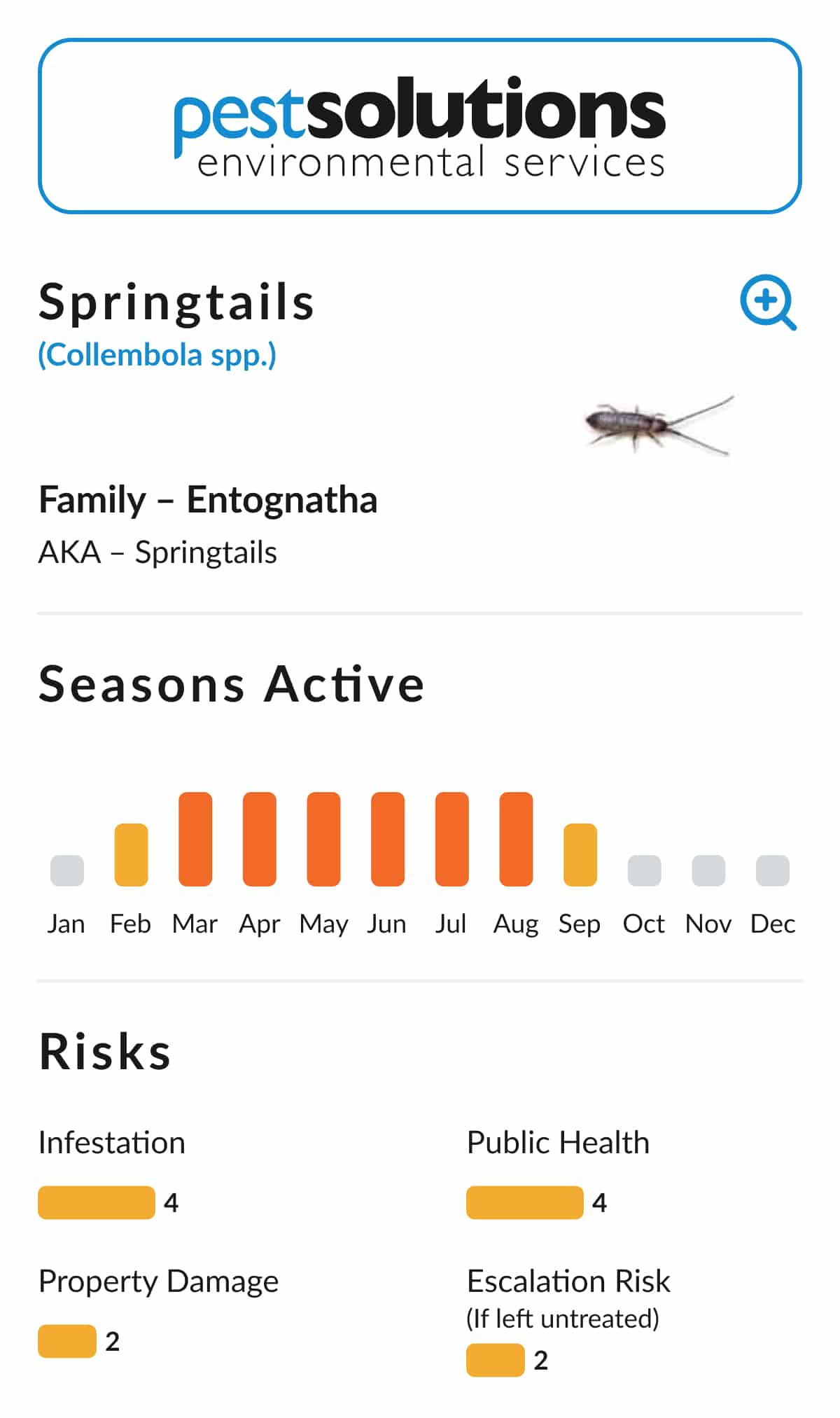 Pest=Springtails