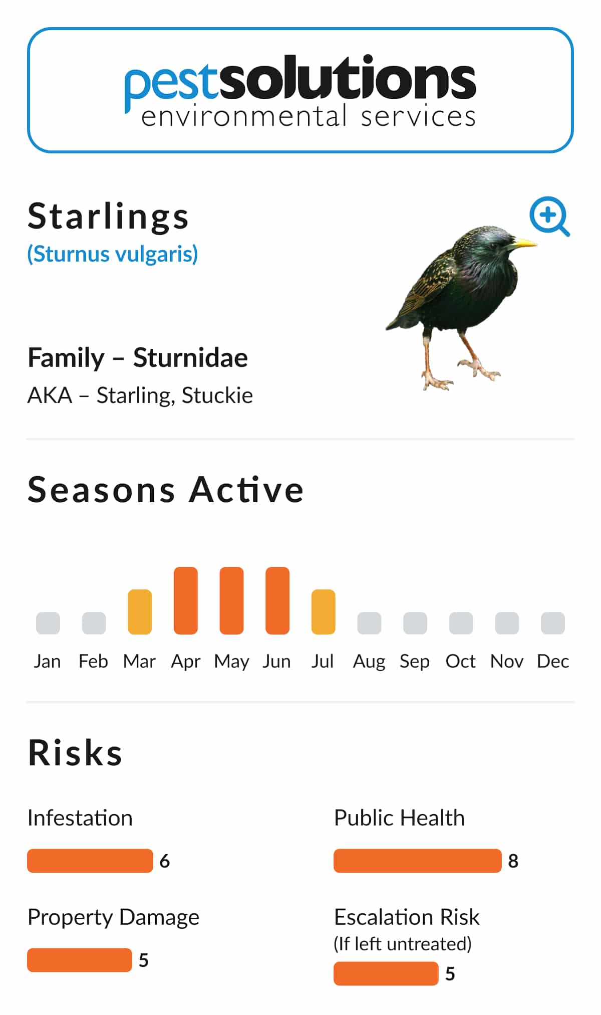 Pest=Starlings