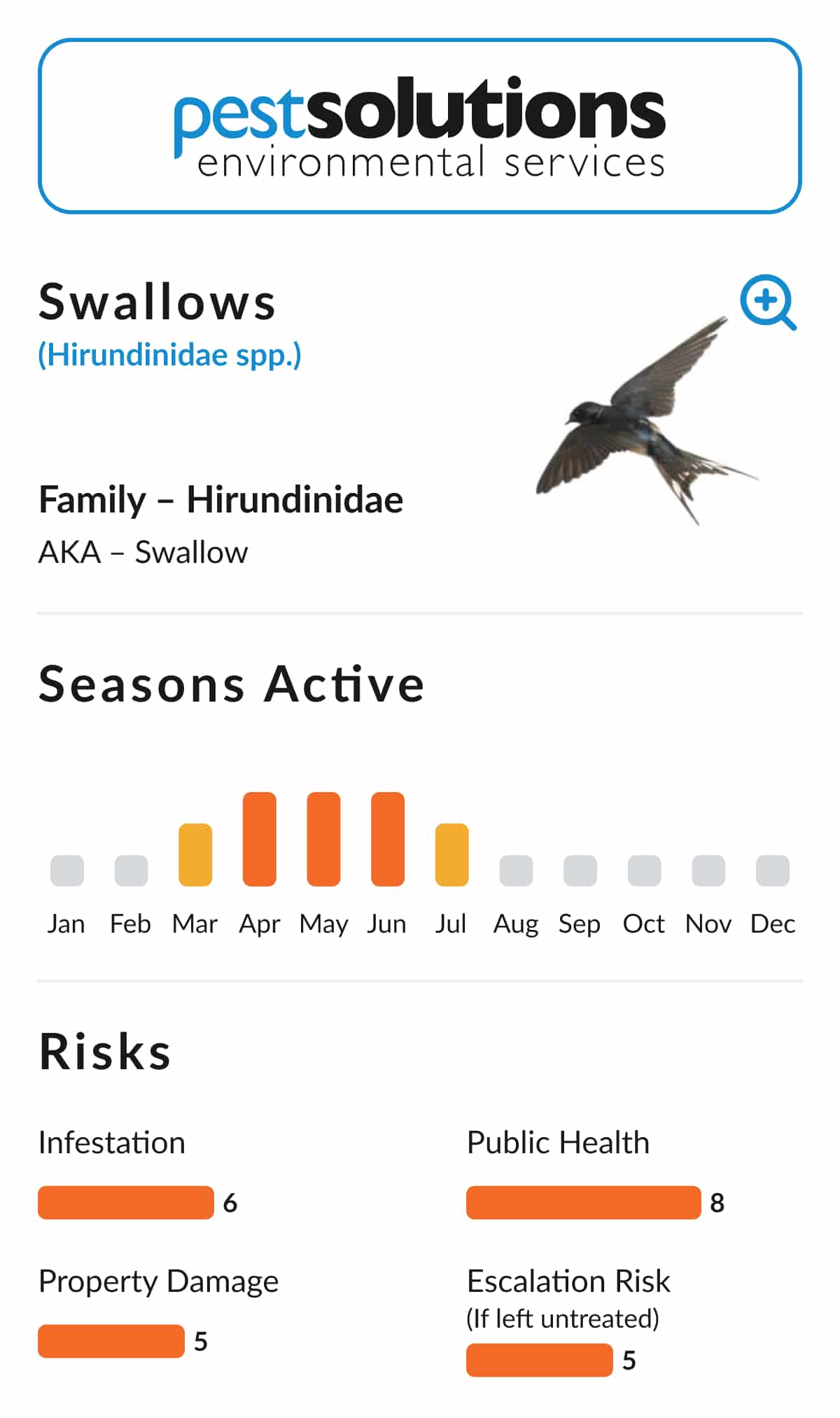 Pest=Swallows