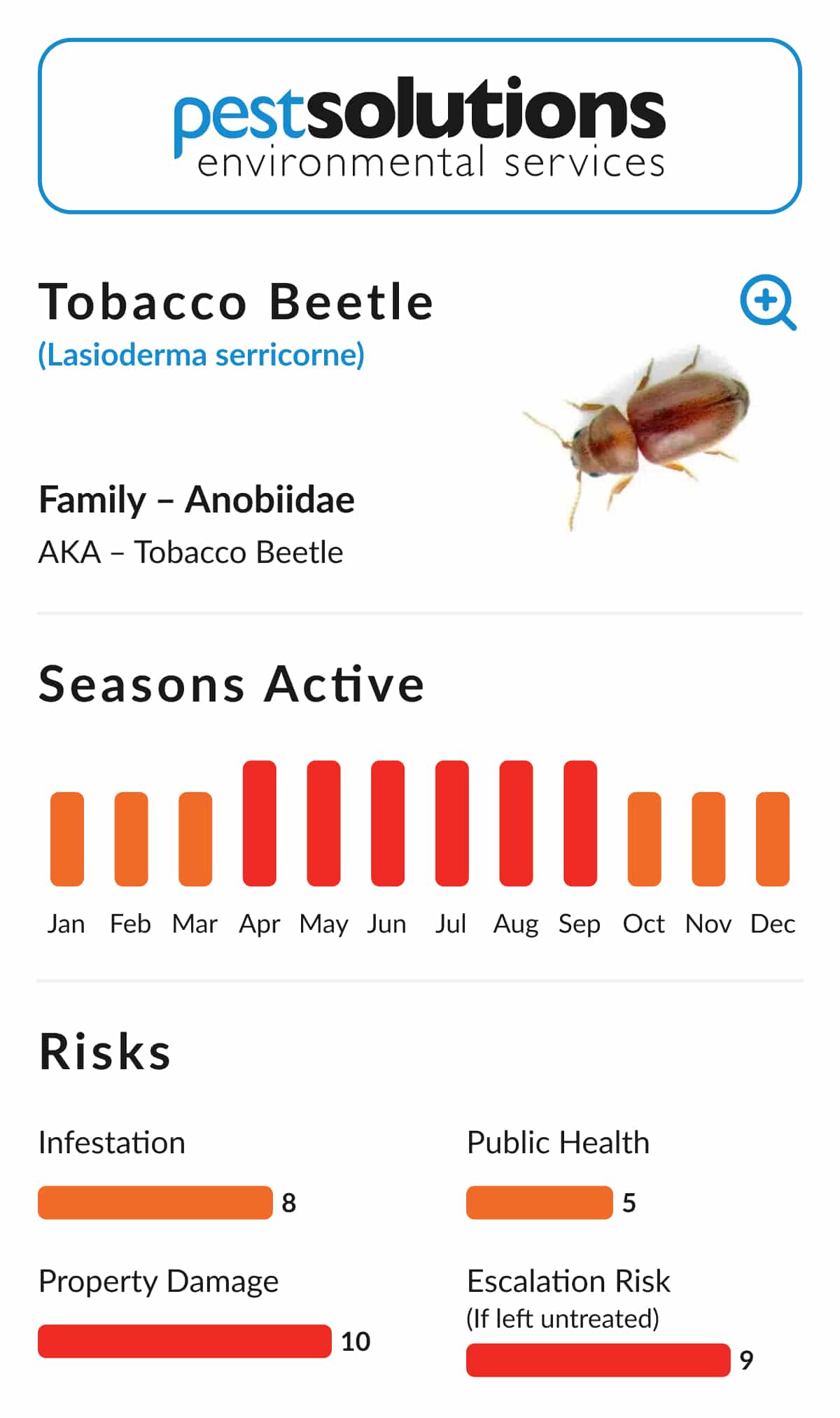 Pest=Tobacco Beetle