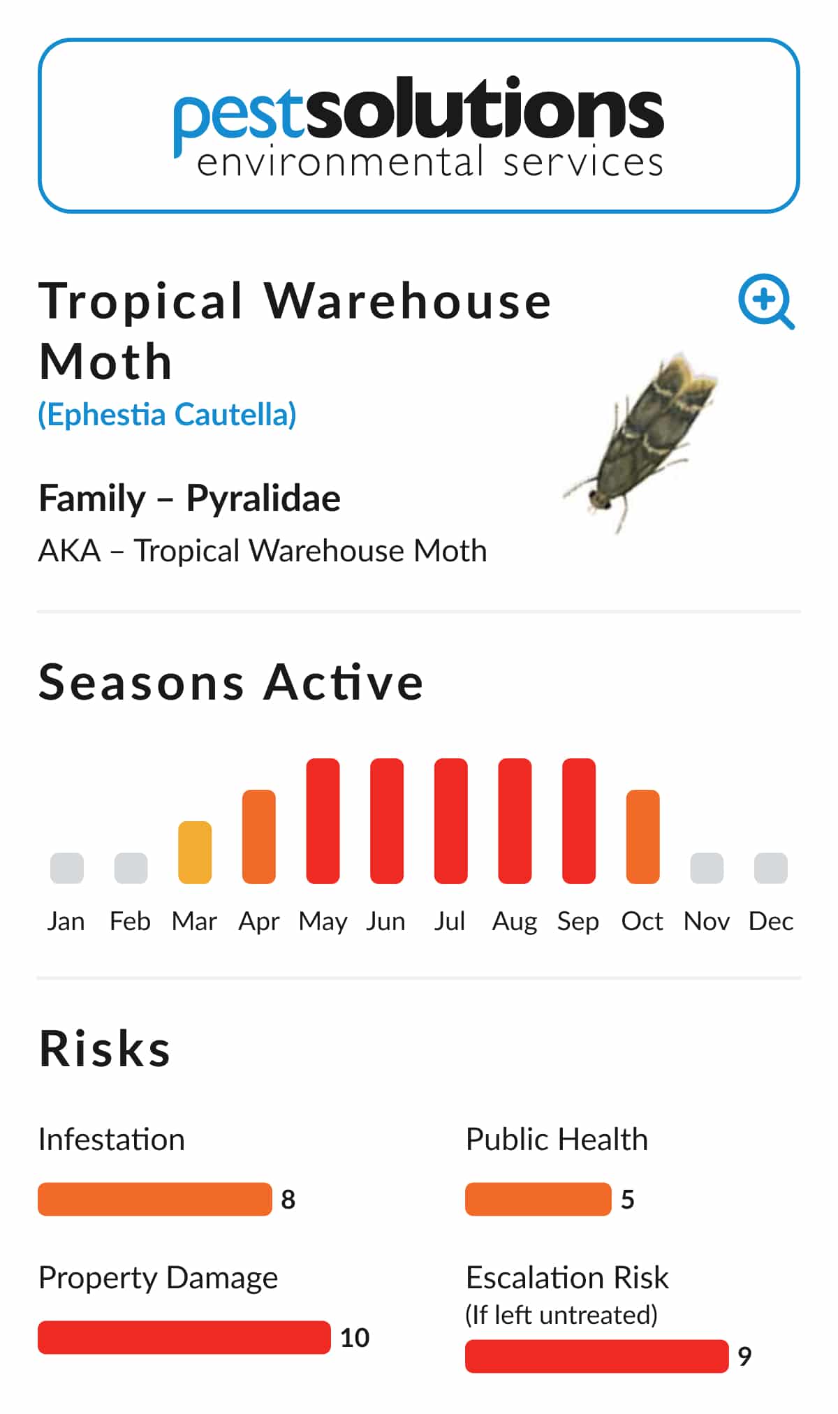 Pest=Tropical Warehouse Moth