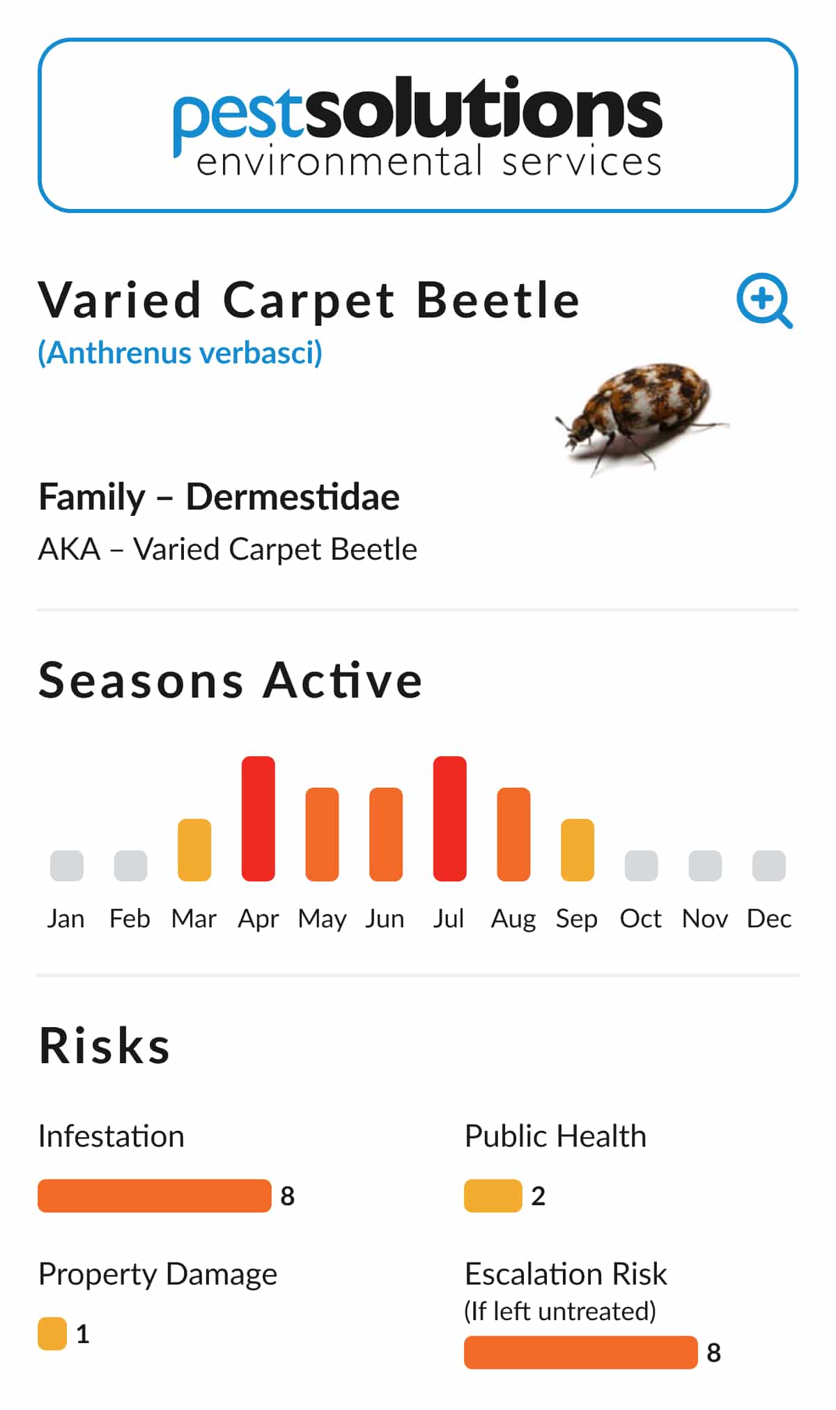 Pest=Varied Carpet Beetle