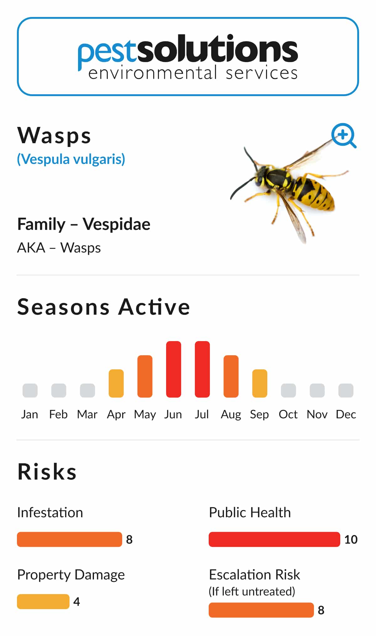 Pest=Wasps