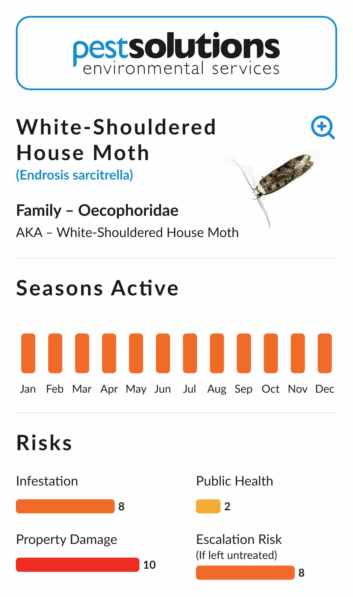 Pest=White-Shouldered House Moth
