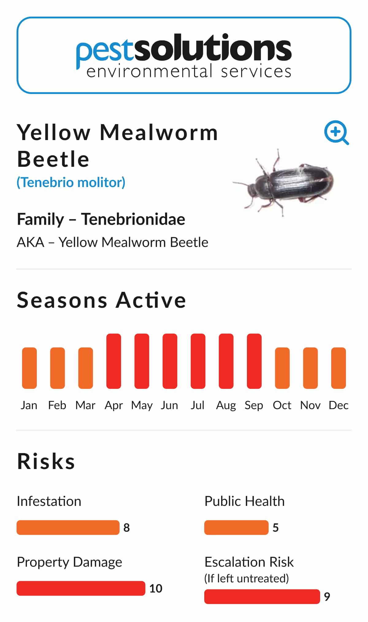 Pest=Yellow Mealworm Beetle
