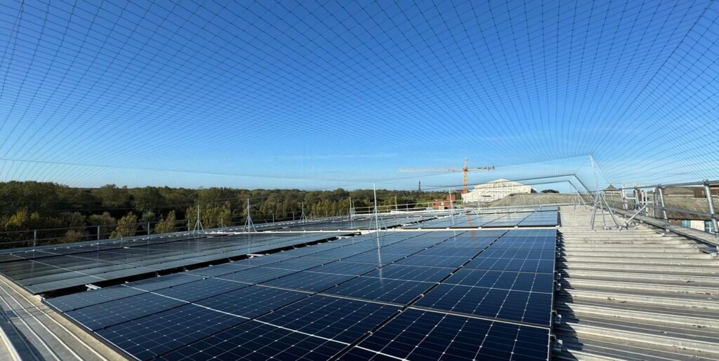 Bird Netting by Pest Solutions