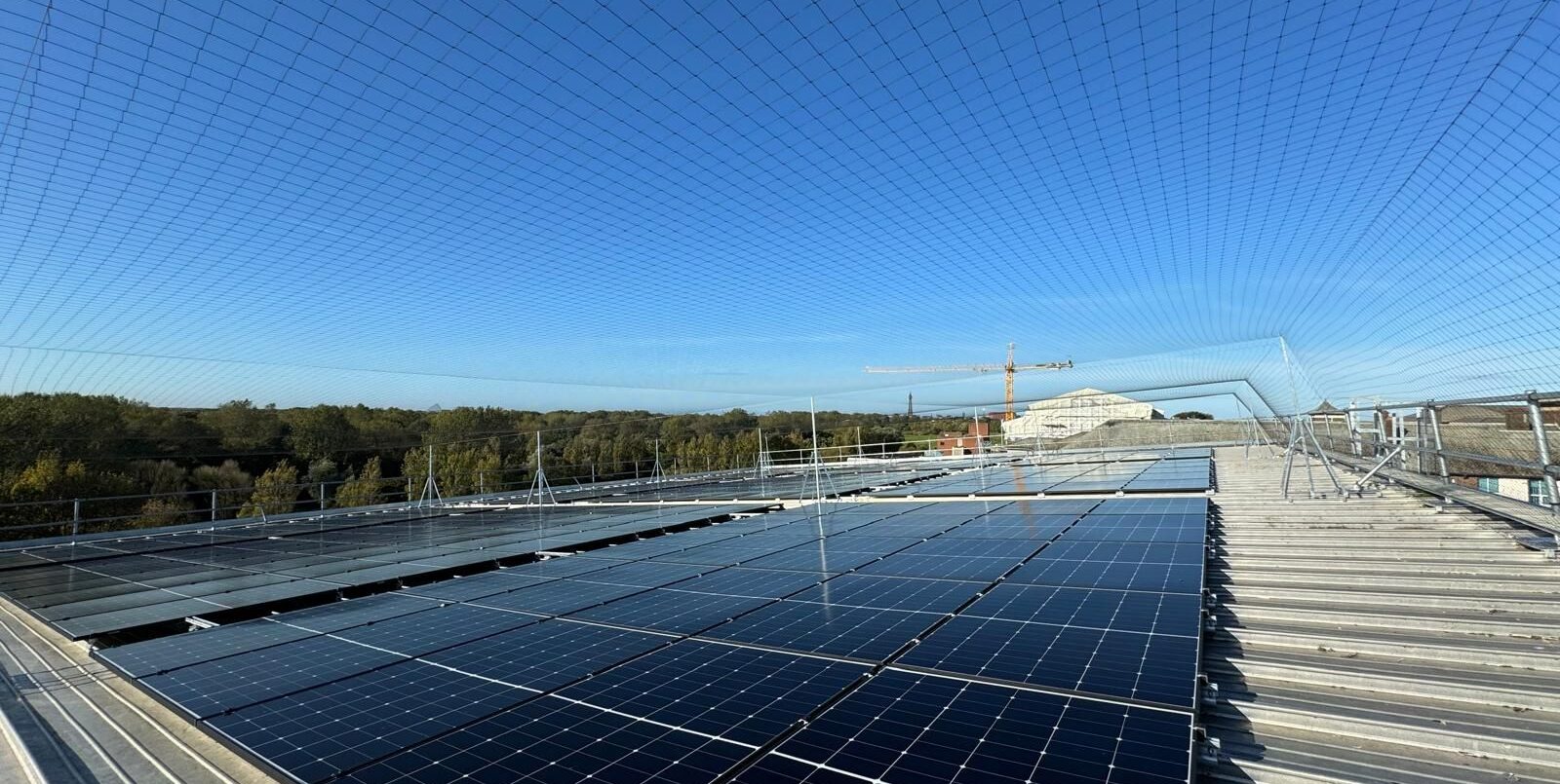 Bird Netting by Pest Solutions