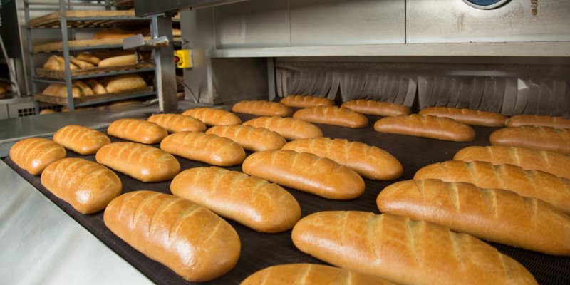 BRC Global Standard for Food Saferty Issue 8 - Pest Prevention