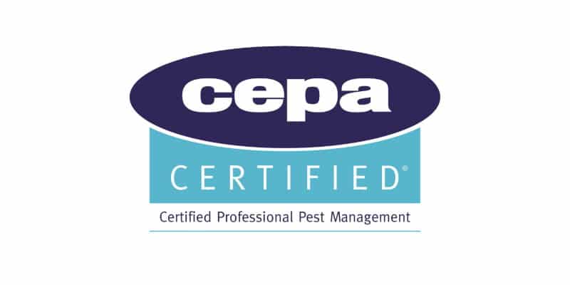 Pest Solutions Glasgow - CEPA Accredited Pest Control Company